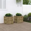 Image de Vidaxl JardiniÃ¨res 2 Pcs Bois De Pin ImprÃ©gnÃ©