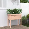 Image de Vidaxl JardiniÃ¨res Avec Pieds 70x31x70 Cm Bois Massif Douglas