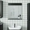 Image de vidaXL Miroir de salle de bain avec Ã©tagÃ¨re BERG noir bois massif