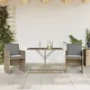 Image de vidaXL Ensemble de bistro 3 pcs coussins mÃ©lange beige rÃ©sine tressÃ©e