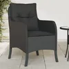 Image de Vidaxl Chaises De Jardin Avec Coussins 2 Pcs Noir RÃ©sine TressÃ©e