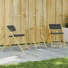 Image de Vidaxl Ensemble De Bistro Pliante 3 Pcs Et Coussins Gris FoncÃ© Bambou