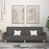 Image de vidaXL CanapÃ©-lit Ã  2 places gris foncÃ© tissu