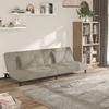 Image de Vidaxl CanapÃ©-Lit Ã 2 Places Avec Deux Oreillers Gris Clair Velours