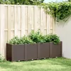 Image de Vidaxl JardiniÃ¨re Marron 160x40x53 Cm PolypropylÃ¨ne