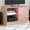 Image de vidaXL Meuble TV rose 67x39x44 cm acier