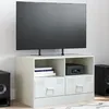 Image de vidaXL Meuble TV blanc 67x39x44 cm acier
