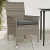 Image de Vidaxl Chaises De Jardin Avec Coussins Lot De 2 Gris RÃ©sine TressÃ©e