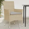 Image de Vidaxl Chaises De Jardin Avec Coussins Lot De 2 Beige RÃ©sine TressÃ©e