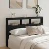 Image de vidaXL Armoire tÃªte de lit avec LED noir 160x17x102 cm