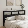 Image de vidaXL Armoire tÃªte de lit avec LED noir 180x17x102 cm
