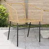 Image de Vidaxl Chaises De Jardin Lot De 2 Marron RÃ©sine TressÃ©e