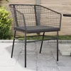 Image de Vidaxl Chaises De Jardin Lot De 2 Avec Coussins Noir RÃ©sine TressÃ©e
