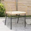 Image de Vidaxl Chaises De Jardin Lot De 2 Et Coussins Marron Rotin