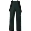 Image de Pantalon de ski PROTEST PRTMIKADO snowpants (Kombu green) homme