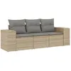 Image de Vidaxl Salon De Jardin Avec Coussins 3 Pcs Beige RÃ©sine TressÃ©e
