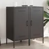 Image de vidaXL Buffets 2 pcs noir 36x39x79 cm acier