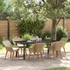 Image de Vidaxl Ensemble De Salle Ã Manger De Jardin De 7 PiÃ¨ces Beige En Poly Rotin