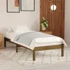 Image de Vidaxl Chaise De PÃªche Avec Accoudoir Pliable Vert