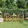 Image de Vidaxl Chaises De Metteur En ScÃ¨ne Pliantes Lot De 2 Bois Teck Massif