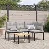 Image de Vidaxl Bancs De Jardin Avec Coussins Lot De 2 Acier Enduit De Poudre