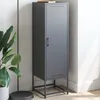 Image de vidaXL Buffet haut anthracite 36x39x123 cm acier