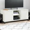 Image de vidaXL Meuble TV blanc 100,5x39x43,5 cm acier