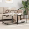 Image de vidaXL Tables basses avec dessus en verre noir 2 pcs 50x50x40 cm acier