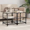 Image de vidaXL Tables basses avec dessus en verre transparent 2 pcs acier