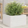 Image de Vidaxl JardiniÃ¨re Blanc 40x40x23 Cm Bois De Pin Massif