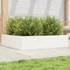 Image de Vidaxl JardiniÃ¨re Blanc 100x100x23 Cm Bois De Pin Massif