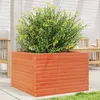 Image de Vidaxl JardiniÃ¨re Cire Marron 70x70x45,5 Cm Bois De Pin Massif