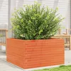 Image de Vidaxl JardiniÃ¨re Cire Marron 80x80x45,5 Cm Bois De Pin Massif