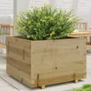 Image de Vidaxl JardiniÃ¨re 70x70x49,5 Cm Bois De Pin ImprÃ©gnÃ©