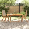 Image de Vidaxl Chaises Pliables De Jardin Lot De 2 Bois D'acacia Et TextilÃ¨ne
