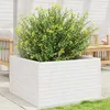 Image de Vidaxl JardiniÃ¨re Blanc 80x80x46 Cm Bois De Pin Massif