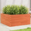 Image de Vidaxl JardiniÃ¨re Cire Marron 100x100x46 Cm Bois De Pin Massif