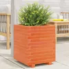Image de Vidaxl JardiniÃ¨re Cire Marron 40x40x49,5 Cm Bois De Pin Massif