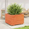 Image de Vidaxl JardiniÃ¨re Cire Marron 70x70x49,5 Cm Bois De Pin Massif