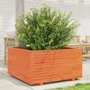 Image de Vidaxl JardiniÃ¨re Cire Marron 90x90x49,5 Cm Bois De Pin Massif