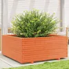 Image de Vidaxl JardiniÃ¨re Cire Marron 110x110x49,5 Cm Bois De Pin Massif