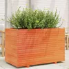 Image de Vidaxl JardiniÃ¨re Cire Marron 110x60x72 Cm Bois De Pin Massif