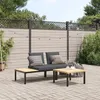 Image de Vidaxl Salon De Jardin 3 Pcs Avec Coussins Noir Aluminium