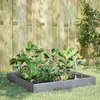 Image de Vidaxl Lit SurÃ©levÃ© De Jardin 100x100x26 Cm Acier Inoxydable