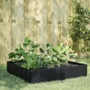 Image de Vidaxl Lit SurÃ©levÃ© De Jardin Noir 100x100x33,5 Cm Acier