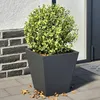 Image de Vidaxl JardiniÃ¨res 2 Pcs Anthracite 30x30x30 Cm Acier
