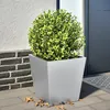 Image de Vidaxl JardiniÃ¨re 40x40x40 Cm Acier Inoxydable
