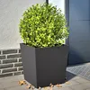 Image de Vidaxl JardiniÃ¨res 2 Pcs Noir 50x50x50 Cm Acier
