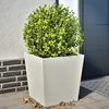 Image de Vidaxl JardiniÃ¨res 2 Pcs Blanc 50x50x50 Cm Acier