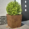 Image de Vidaxl JardiniÃ¨res 2 Pcs 50x50x50 Cm Acier Corten